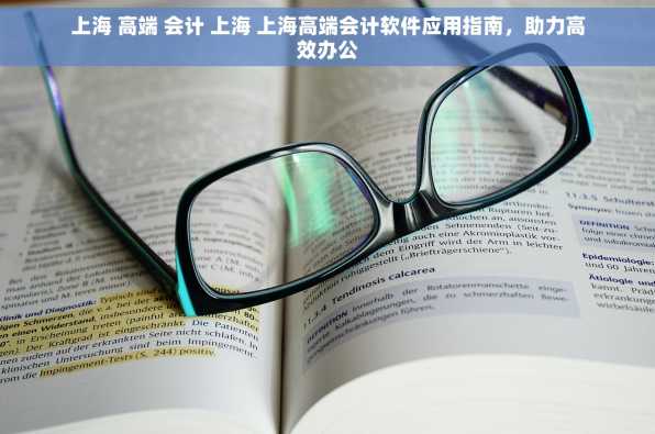 上海 高端 会计 上海 上海高端会计软件应用指南，助力高效办公