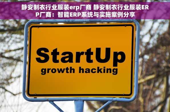 静安制衣行业服装erp厂商 静安制衣行业服装ERP厂商：智能ERP系统与实施案例分享