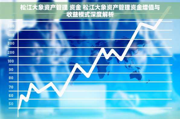 松江大象资产管理 资金 松江大象资产管理资金增值与收益模式深度解析