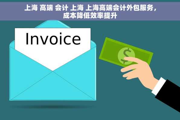 上海 高端 会计 上海 上海高端会计外包服务，成本降低效率提升