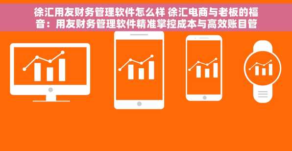 徐汇用友财务管理软件怎么样 徐汇电商与老板的福音：用友财务管理软件精准掌控成本与高效账目管理