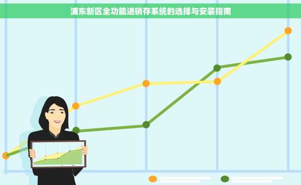 浦东新区全功能进销存系统的选择与安装指南