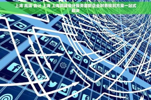 上海 高端 会计 上海 上海高端会计服务最新企业财务规划方案一站式解决