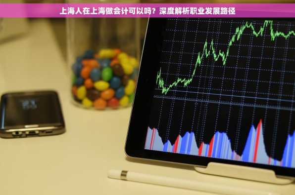 上海人在上海做会计可以吗？深度解析职业发展路径