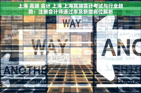 上海 高端 会计 上海 上海高端会计考试与行业趋势：注册会计师通过率及新增岗位解析