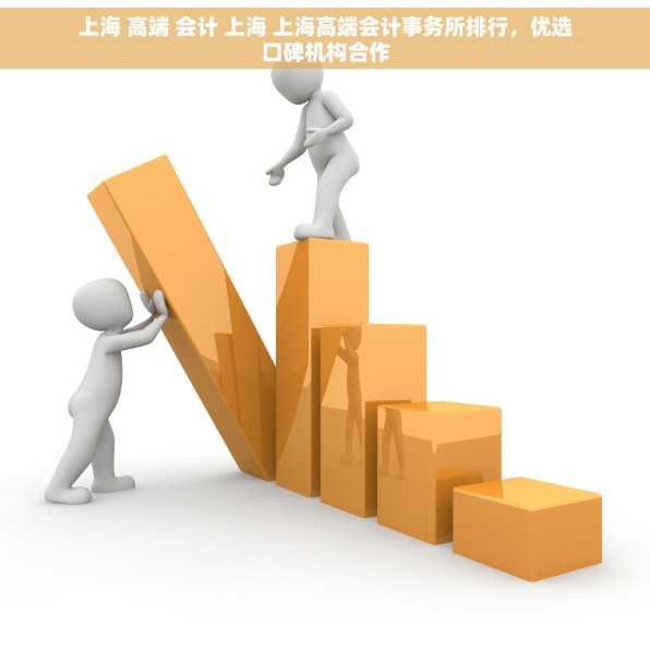 上海 高端 会计 上海 上海高端会计事务所排行，优选口碑机构合作
