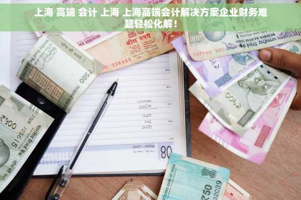 上海 高端 会计 上海 上海高端会计解决方案企业财务难题轻松化解！