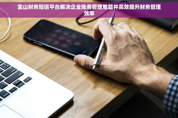 宝山财务短信平台解决企业账务管理难题并高效提升财务管理效率
