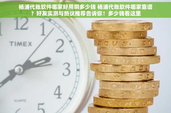 杨浦代账软件哪家好用啊多少钱 杨浦代账软件哪家靠谱？好友实测与热议推荐告诉你！多少钱看这里
