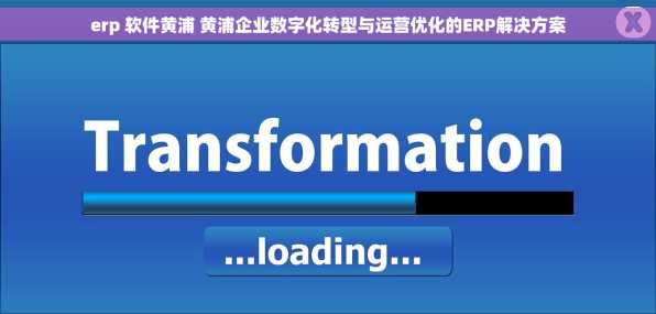 erp 软件黄浦 黄浦企业数字化转型与运营优化的ERP解决方案