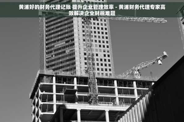 黄浦好的财务代理记账 提升企业管理效率 - 黄浦财务代理专家高效解决企业财税难题