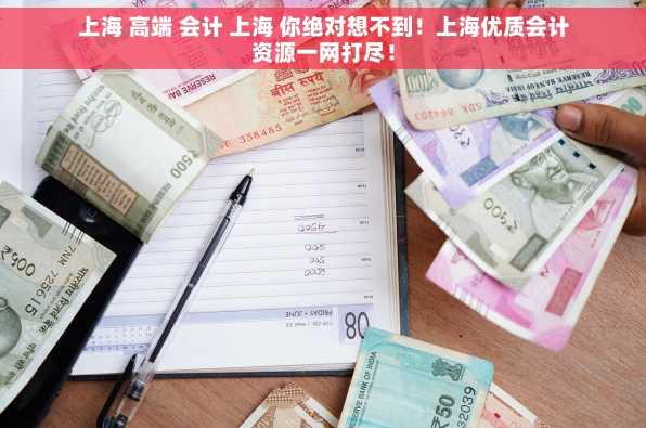 上海 高端 会计 上海 你绝对想不到！上海优质会计资源一网打尽！