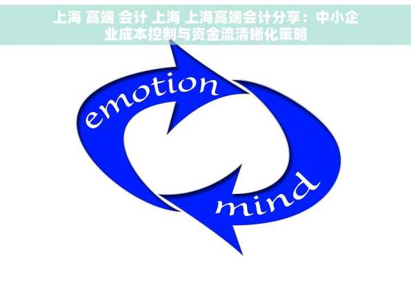 上海 高端 会计 上海 上海高端会计分享：中小企业成本控制与资金流清晰化策略