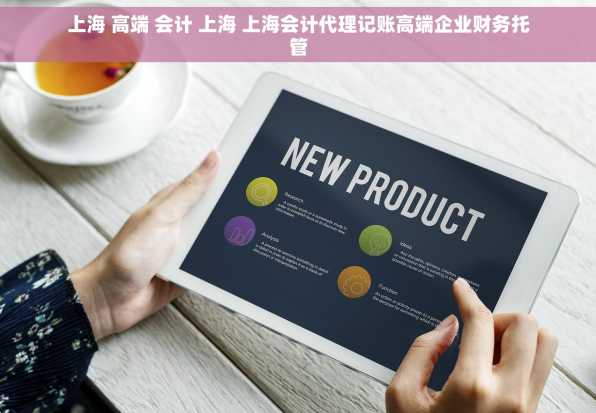 上海 高端 会计 上海 上海会计代理记账高端企业财务托管
