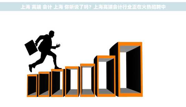 上海 高端 会计 上海 你听说了吗？上海高端会计行业正在火热招聘中