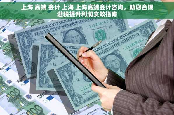 上海 高端 会计 上海 上海高端会计咨询，助您合规避税提升利润实效指南
