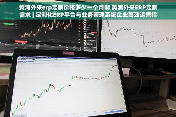 黄浦外采erp定制价格多少一个月啊 黄浦外采ERP定制需求 | 定制化ERP平台与业务管理系统企业高效运营指南