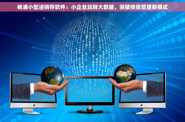 杨浦小型进销存软件：小企业玩转大数据，突破传统管理新模式