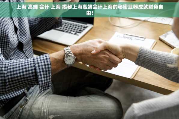 上海 高端 会计 上海 揭秘上海高端会计上海的秘密武器成就财务自由！