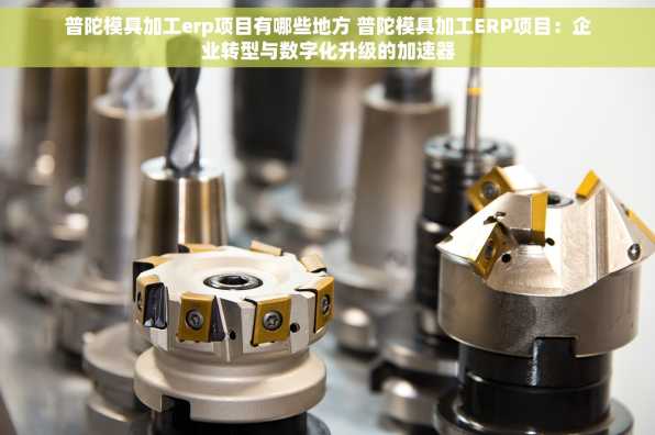 普陀模具加工erp项目有哪些地方 普陀模具加工ERP项目：企业转型与数字化升级的加速器