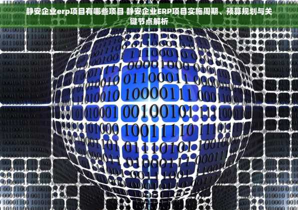 静安企业erp项目有哪些项目 静安企业ERP项目实施周期、预算规划与关键节点解析