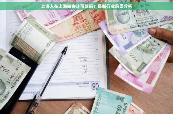 上海人在上海做会计可以吗？最新行业前景分析