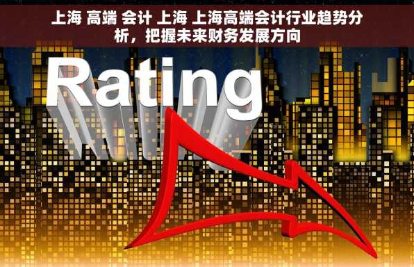 上海 高端 会计 上海 上海高端会计行业趋势分析，把握未来财务发展方向