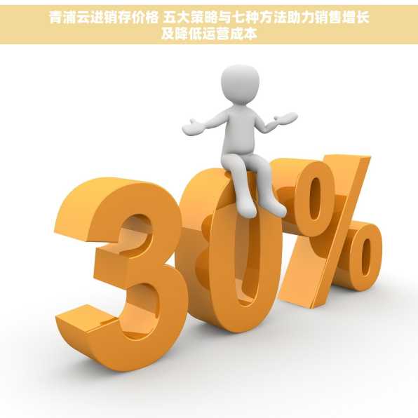 青浦云进销存价格 五大策略与七种方法助力销售增长及降低运营成本