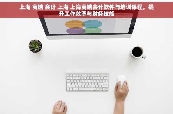 上海 高端 会计 上海 上海高端会计软件与培训课程，提升工作效率与财务技能