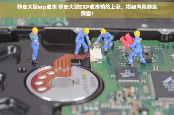 静安大型erp成本 静安大型ERP成本悄然上涨，揭秘内幕避免踩雷！