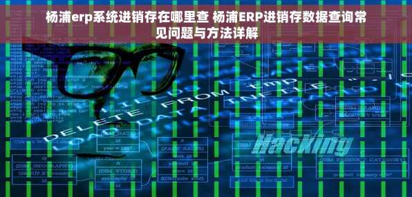 杨浦erp系统进销存在哪里查 杨浦ERP进销存数据查询常见问题与方法详解