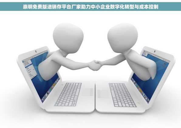 崇明免费版进销存平台厂家助力中小企业数字化转型与成本控制