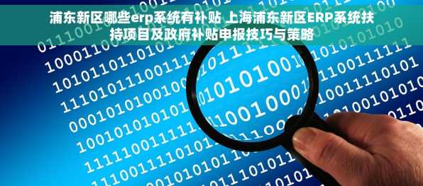 浦东新区哪些erp系统有补贴 上海浦东新区ERP系统扶持项目及政府补贴申报技巧与策略