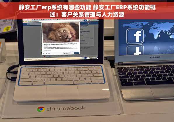 静安工厂erp系统有哪些功能 静安工厂ERP系统功能概述：客户关系管理与人力资源