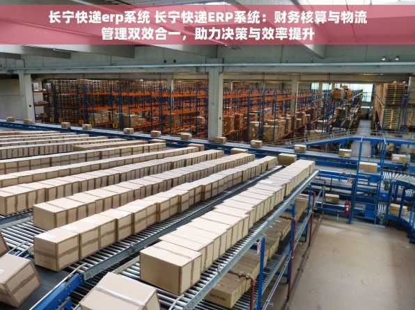 长宁快递erp系统 长宁快递ERP系统：财务核算与物流管理双效合一，助力决策与效率提升