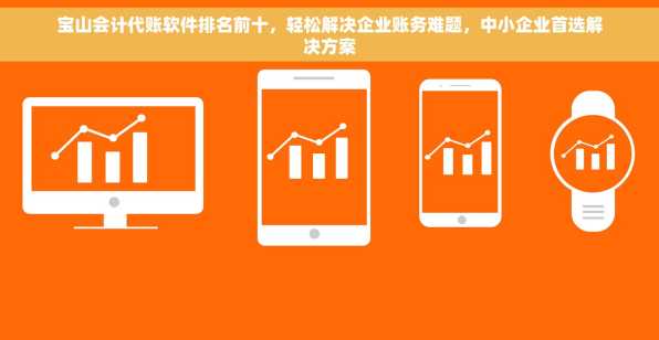 宝山会计代账软件排名前十，轻松解决企业账务难题，中小企业首选解决方案
