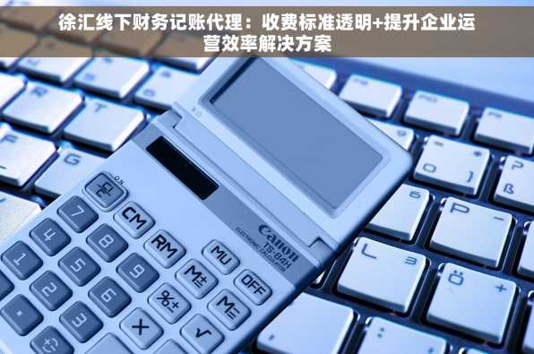 徐汇线下财务记账代理：收费标准透明+提升企业运营效率解决方案