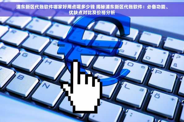 浦东新区代账软件哪家好用点呢多少钱 揭秘浦东新区代账软件：必备功能、优缺点对比及价格分析