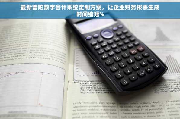 最新普陀数字会计系统定制方案，让企业财务报表生成时间缩短%
