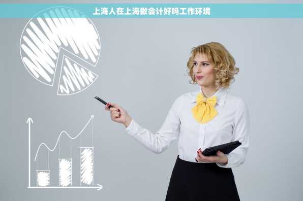 上海人在上海做会计好吗工作环境