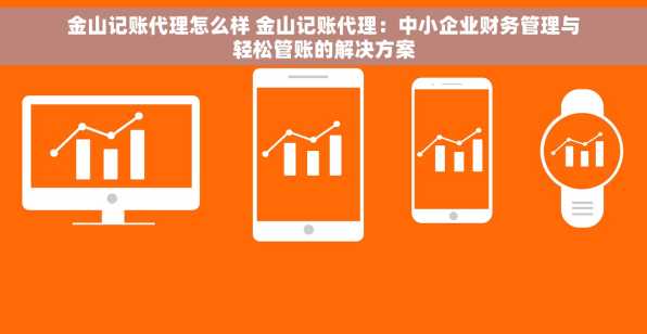 金山记账代理怎么样 金山记账代理：中小企业财务管理与轻松管账的解决方案