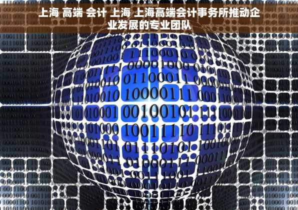 上海 高端 会计 上海 上海高端会计事务所推动企业发展的专业团队
