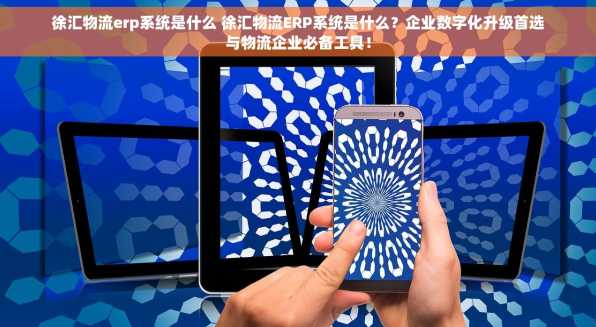 徐汇物流erp系统是什么 徐汇物流ERP系统是什么？企业数字化升级首选与物流企业必备工具！