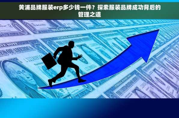 黄浦品牌服装erp多少钱一件？探索服装品牌成功背后的管理之道
