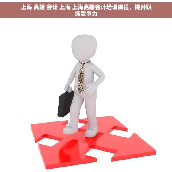 上海 高端 会计 上海 上海高端会计培训课程，提升职场竞争力