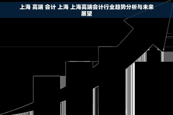 上海 高端 会计 上海 上海高端会计行业趋势分析与未来展望