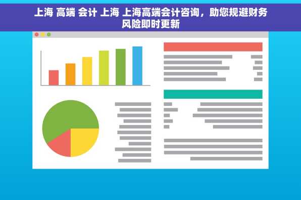 上海 高端 会计 上海 上海高端会计咨询，助您规避财务风险即时更新
