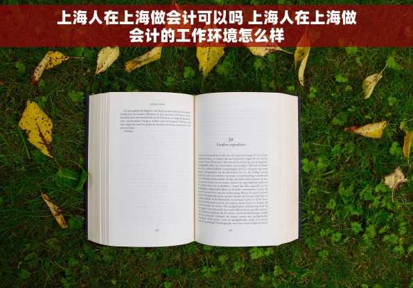 上海人在上海做会计可以吗 上海人在上海做会计的工作环境怎么样
