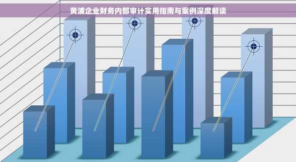 黄浦企业财务内部审计实用指南与案例深度解读