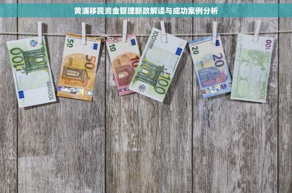 黄浦移民资金管理新政解读与成功案例分析